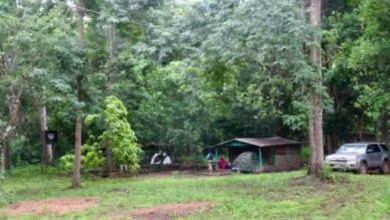 into-the-wild:-exploring-sierra-leone’s-untamed-natural-wonders